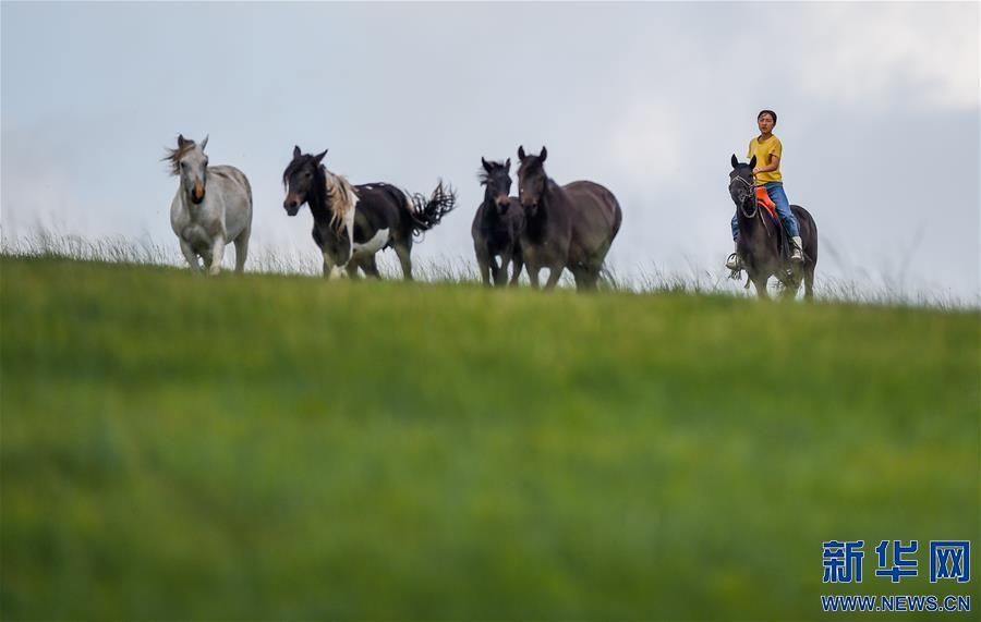 (特別的暑期生活·圖片故事)(5)草原女孩錫林花的暑期“歡樂時(shí)光”