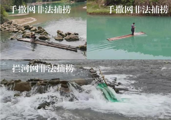 2021年9—10月，前期暗查發(fā)現(xiàn)，保護區(qū)核心區(qū)內(nèi)非法捕撈行為十分猖獗