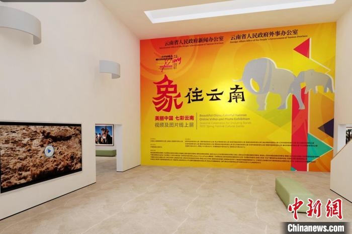 圖為“象”往云南——美麗中國(guó) 七彩云南視頻及圖片線上展截圖?！『h(yuǎn)航 攝