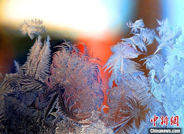 惟妙惟肖的冰窗花，似一幅風(fēng)景畫?！O書程 攝