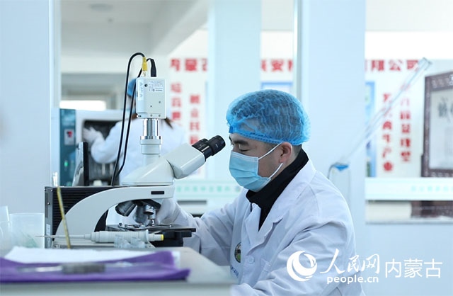 內(nèi)蒙古中農(nóng)興安種?？萍加邢薰韭鋺艨朴抑衅欤瑸槿馀．a(chǎn)業(yè)發(fā)展提供了優(yōu)質(zhì)的種源保障。白俊華攝