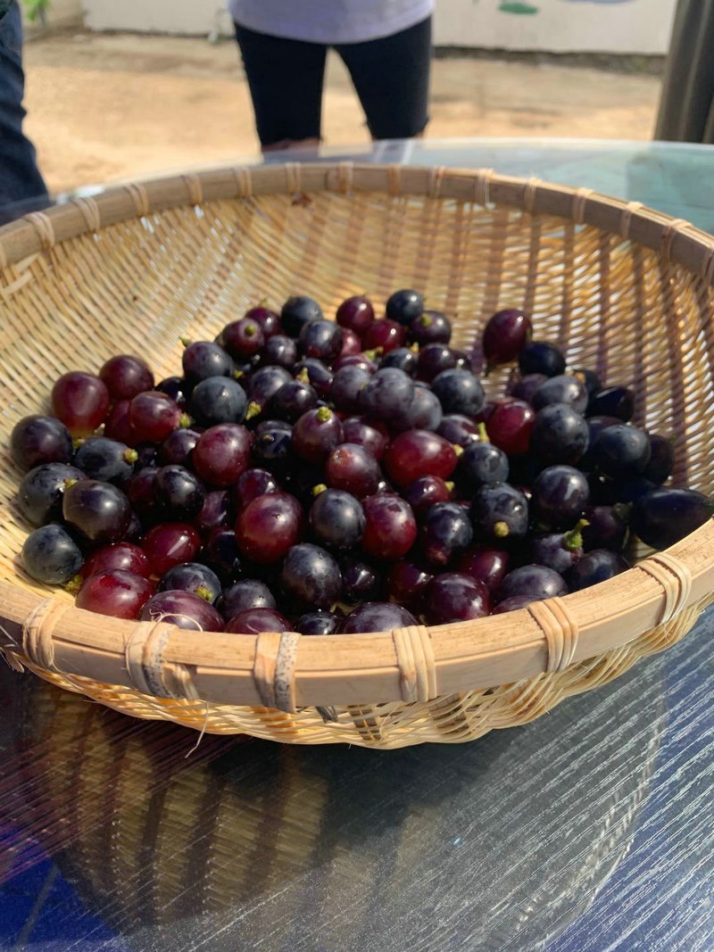 1595738418709894.jpg 1595735117506977.jpg