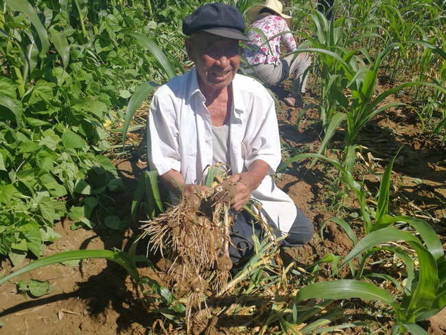 1625993888948860.jpg 微信圖片_20210711165602.jpg