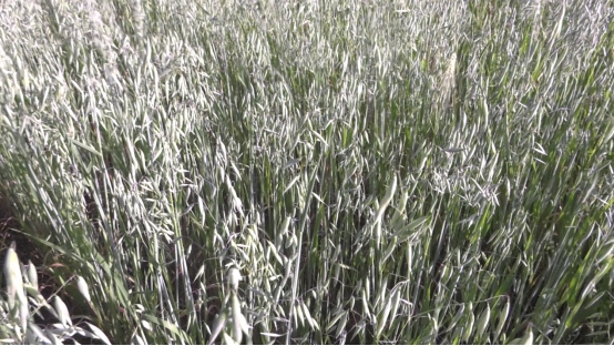 1628584586620723.png 微信圖片_20210810163600.png