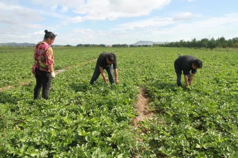 1632888660162735.jpg 1632888660162735.jpg