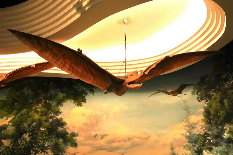 1648200693274241.png 圖片3.png