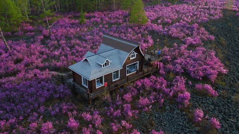 1652670915248035.jpeg 4CA2E7552A0B29290E86DD76BEADD0AA_副本.jpeg