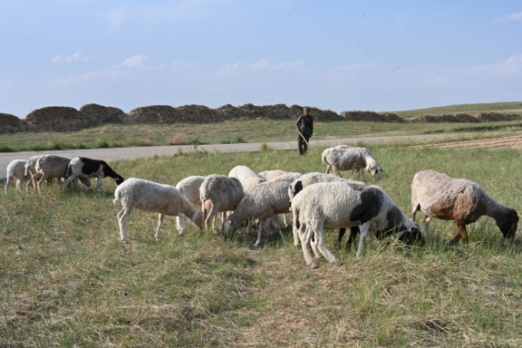 1653750991669316.png 4ac303ff08bd749e18555acd74efb2d0546.png