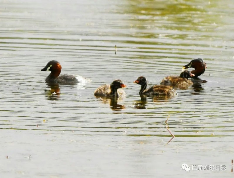 1660027228887788.jpg 微信圖片_20220809143525_副本.jpg