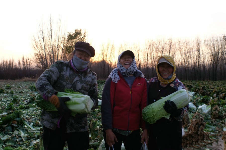 1667662536621421.jpg 微信圖片_20221105231412.jpg