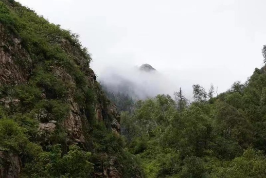 1676277130122141.png image.png