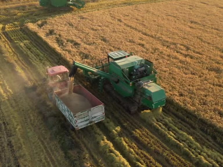 1698119200105660.png 4.png