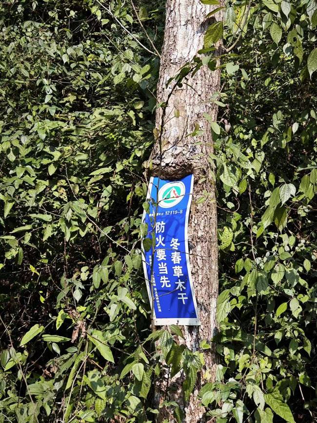 1708352616111284.jpg 路邊的防火宣傳標(biāo)語(yǔ).jpg