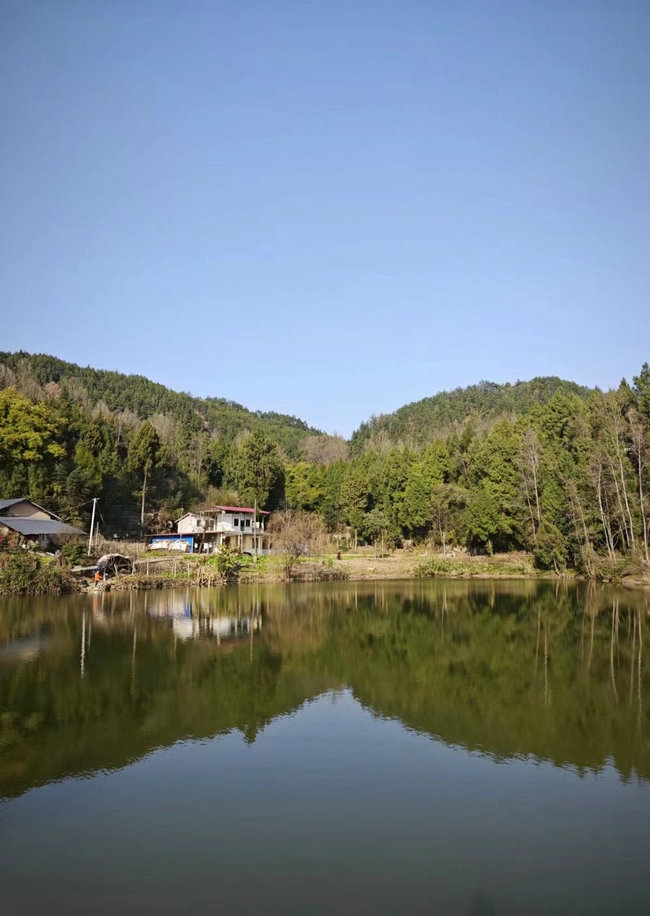 1708353006136109.jpg 這樣在對(duì)面看,老家也算依山傍水.jpg