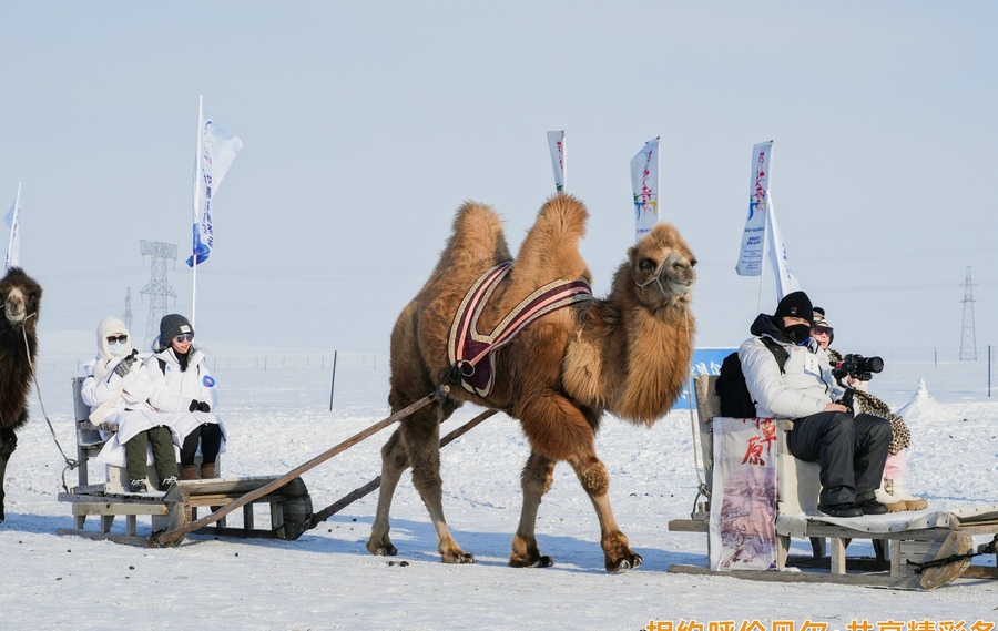 1708392224110032.jpg 20240220092157.jpg