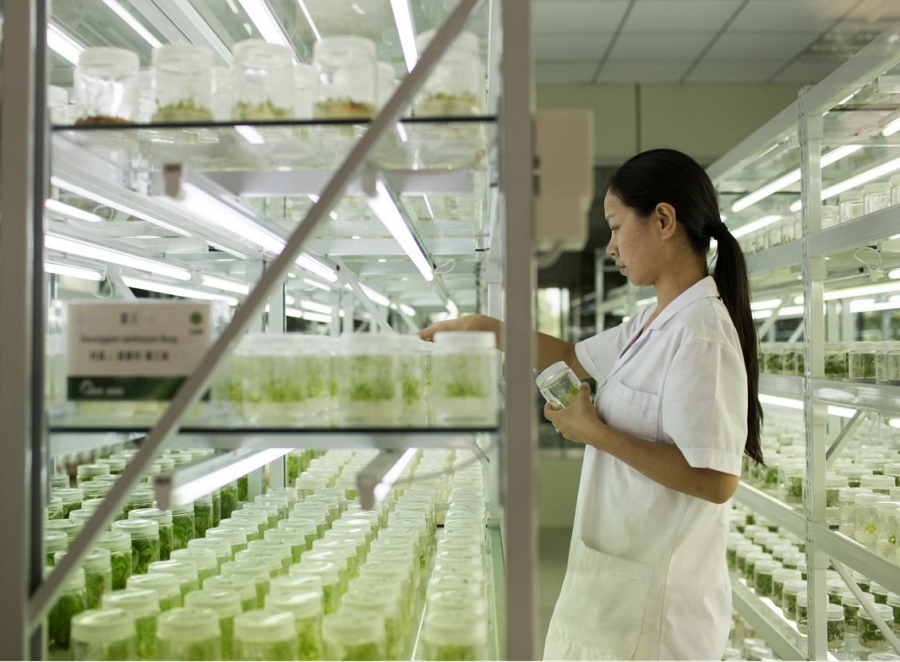 1718604100658386.png 747344dc5b103bd286f3665ac5e532171655.png