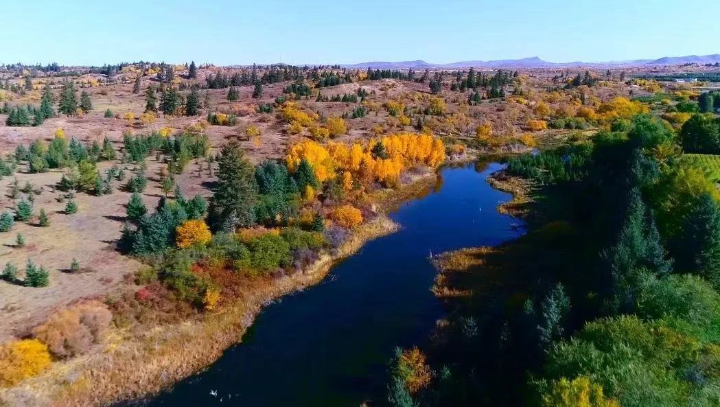 1727510628461903.jpeg WechatIMG129.jpeg