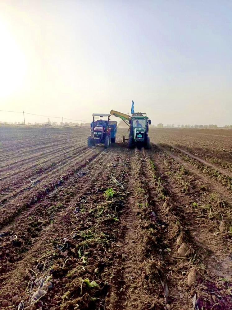 1729153976112218.png 01e87609dc7bf9a79d080c384c81fa53.png