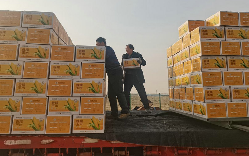 1738412920493574.jpg 1111111.jpg