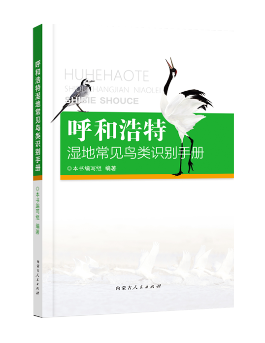 1739763466169330.png 01e87609dc7bf9a79d080c384c81fa53.png