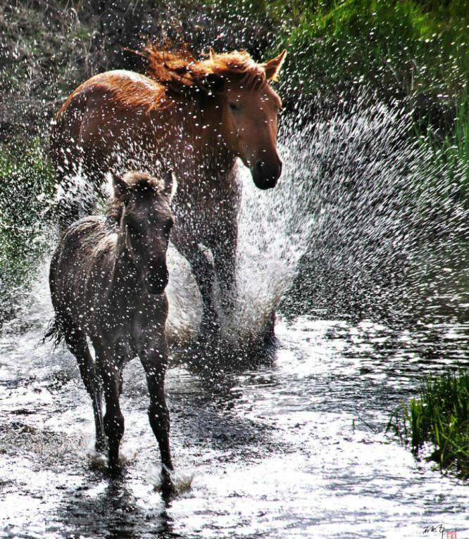 1745467129118234.jpg 006HydGGly4h57v3e9xtsj30ii0m8q89.jpg