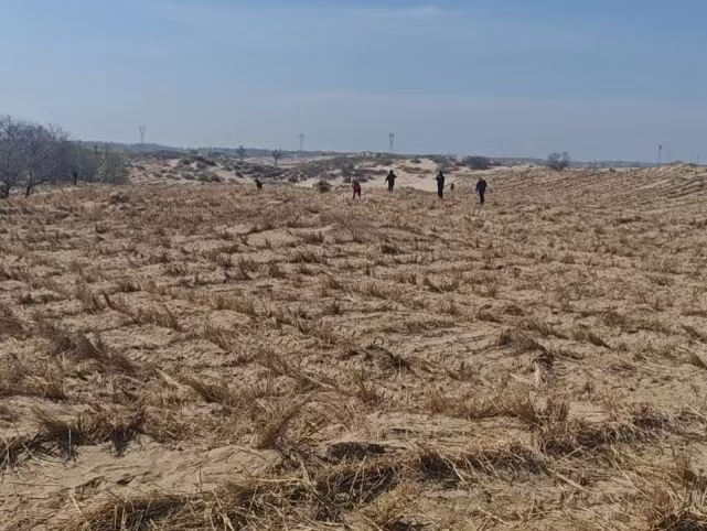 1746504946121478.jpg 20250506121106.jpg