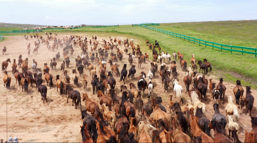 1754240553133420.png 20250804004855.png