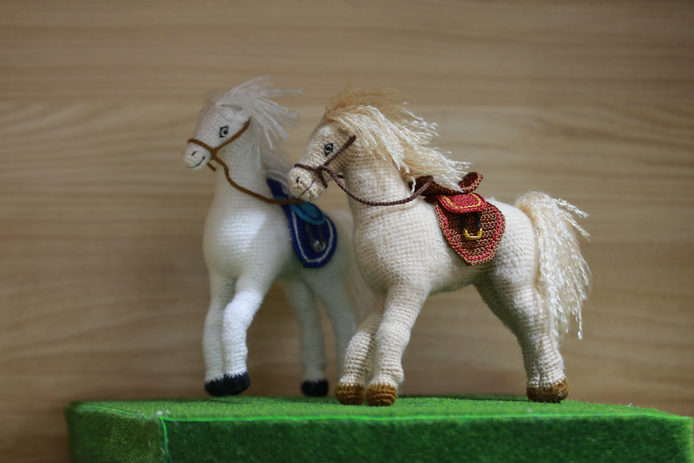 1764166171463882.jpg 7O5A0237.JPG