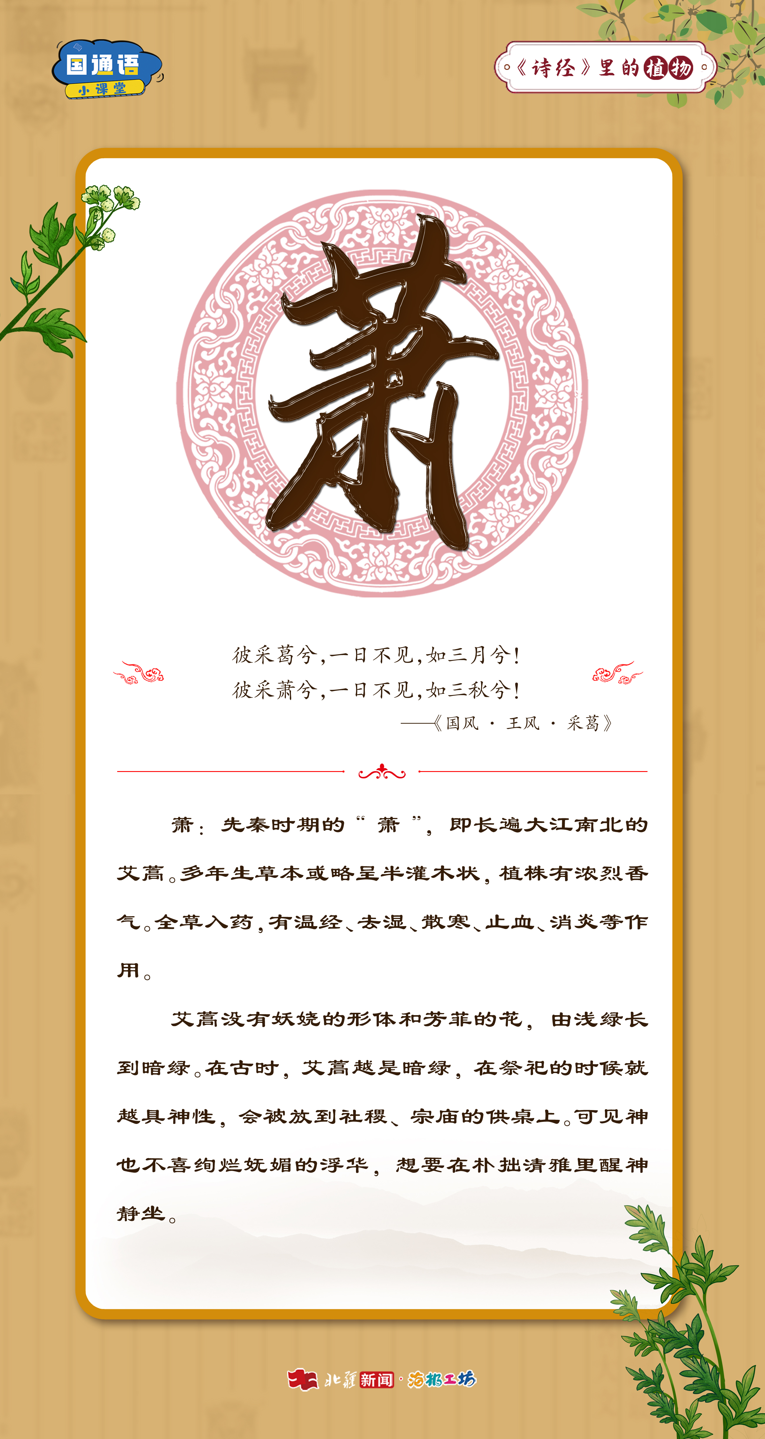 1766471652129719.jpg 蕭.jpg