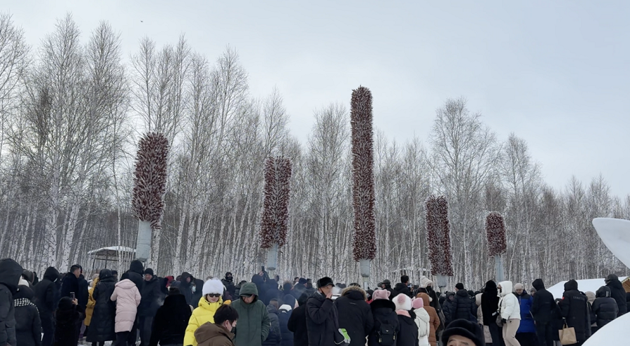 1770603502781112.png 01e87609dc7bf9a79d080c384c81fa53.png