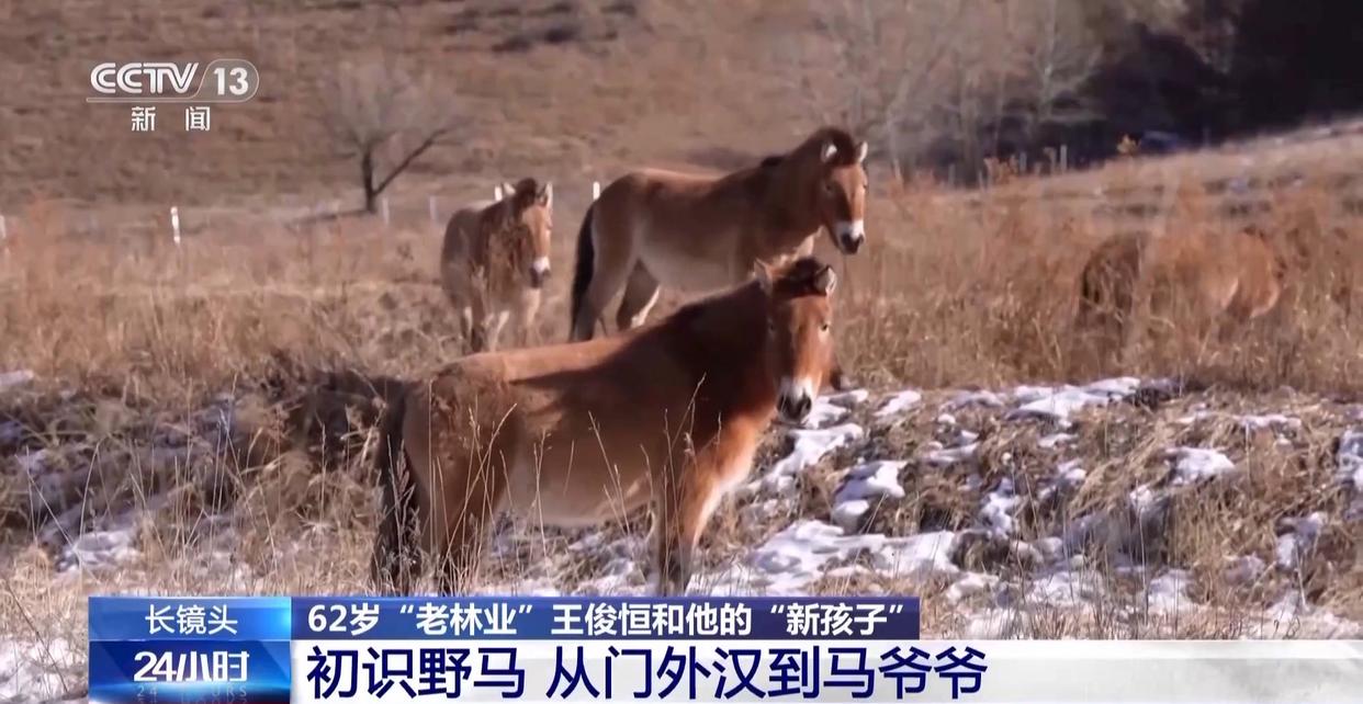 1772594330585705.jpg 002.jpg