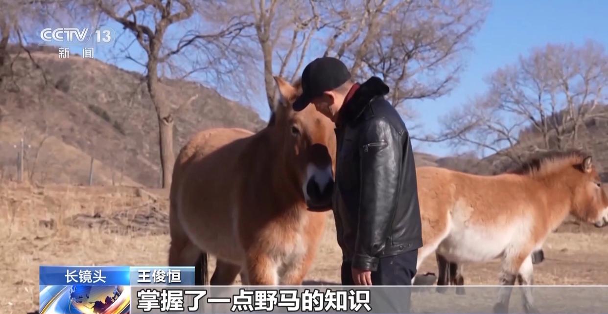 1772594336128445.jpg 003.jpg