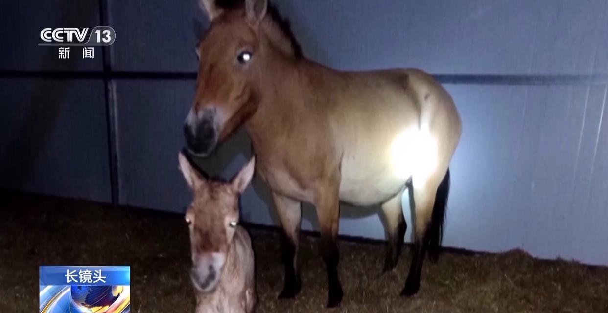 1772594364243818.jpg 007.jpg