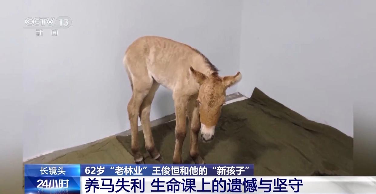 1772594369948377.jpg 008.jpg