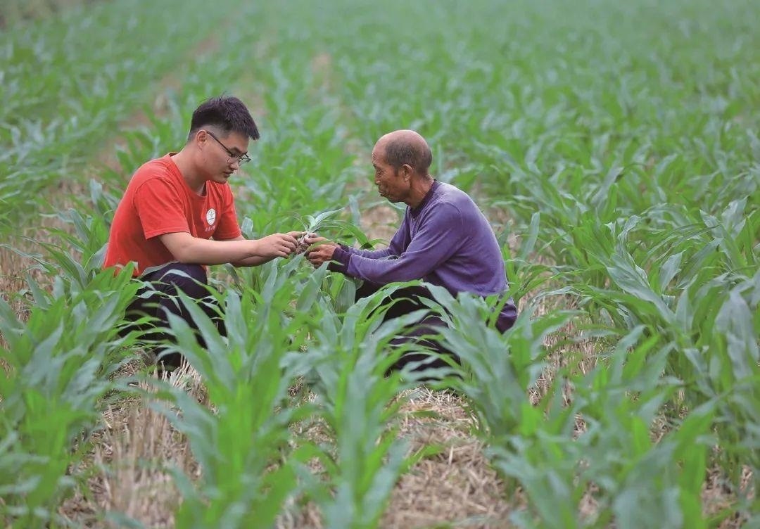 △科技小院的學(xué)生在給村民講解玉米種植知識(shí)。