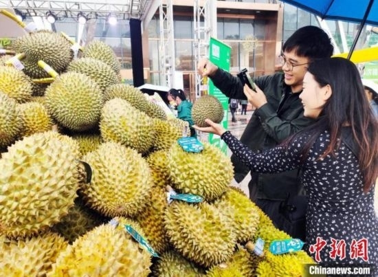 圖為廣西南寧市民在選購榴蓮。黃艷梅 攝