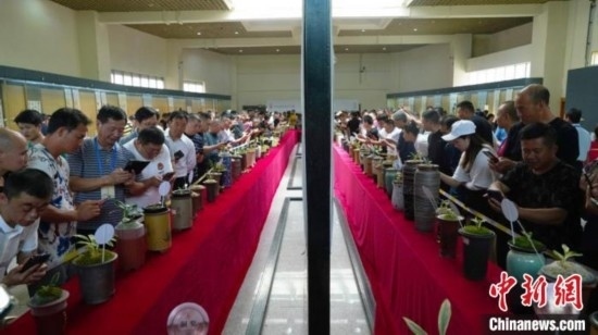 圖為活動(dòng)現(xiàn)場(chǎng)。 云南省委臺(tái)辦供圖