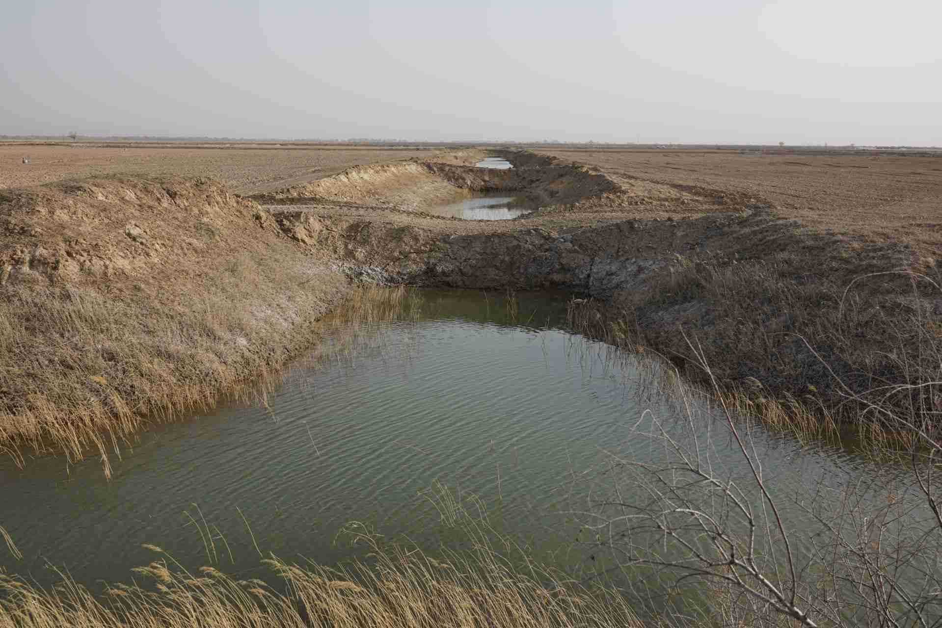 堵塞的排堿渠。 人民網(wǎng)記者 游天燚攝