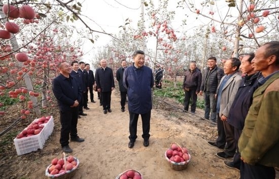2022年10月26日，習近平總書記在陜西省延安市安塞區(qū)高橋鎮(zhèn)南溝村蘋果園同老鄉(xiāng)們親切交流。