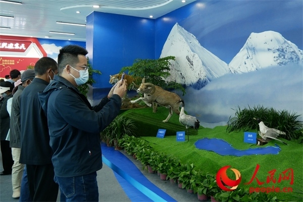 6月17日，觀(guān)眾正在觀(guān)展。人民網(wǎng) 韋衍行攝