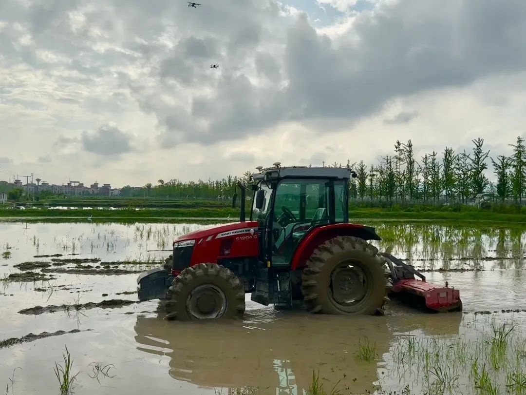 浙江省金華市東陽市城東街道寀盧村的一臺無人駕駛耕地機(jī)。靜玄 攝