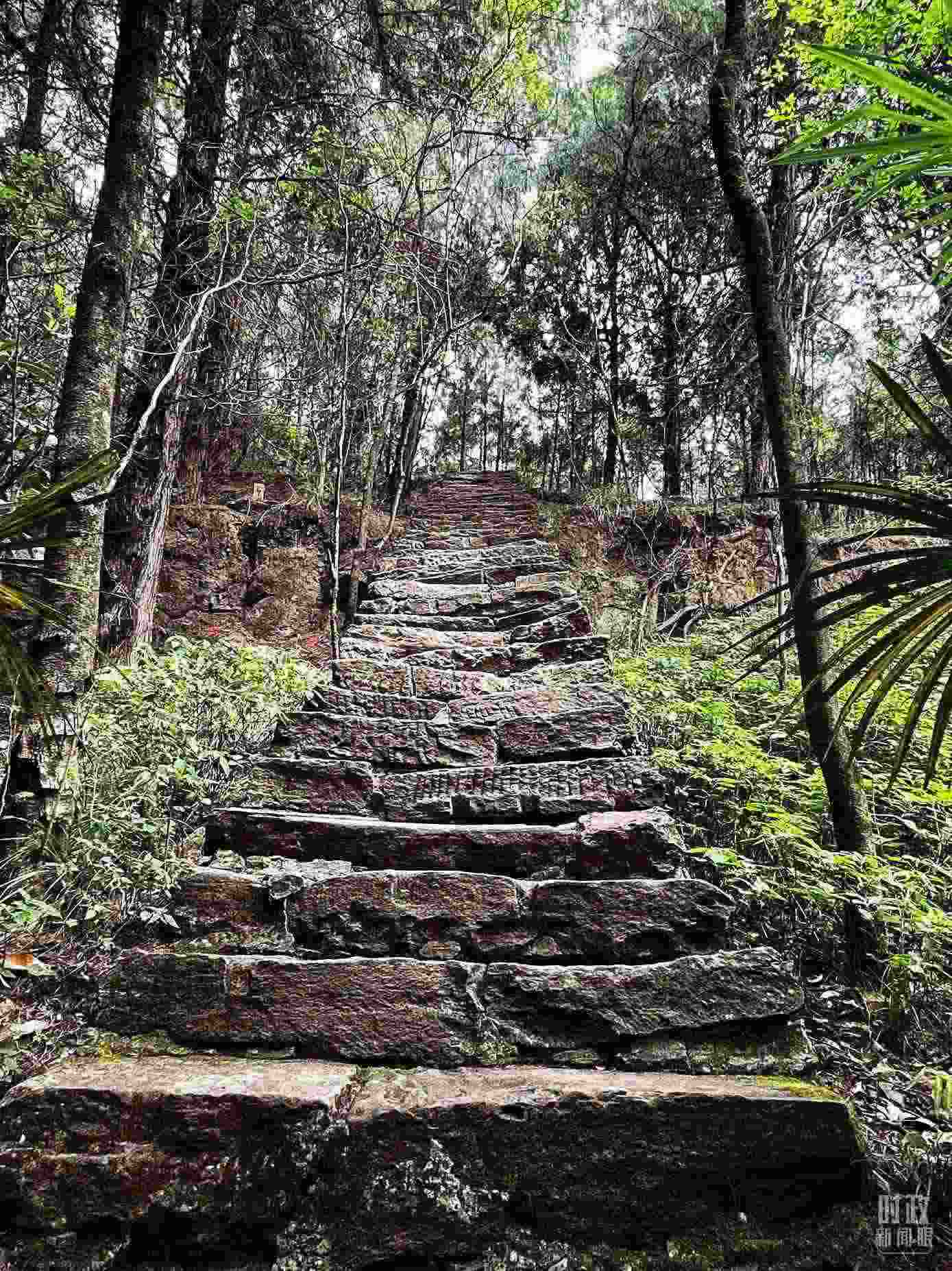 △古蜀道。（總臺央視記者郭曉龍拍攝）