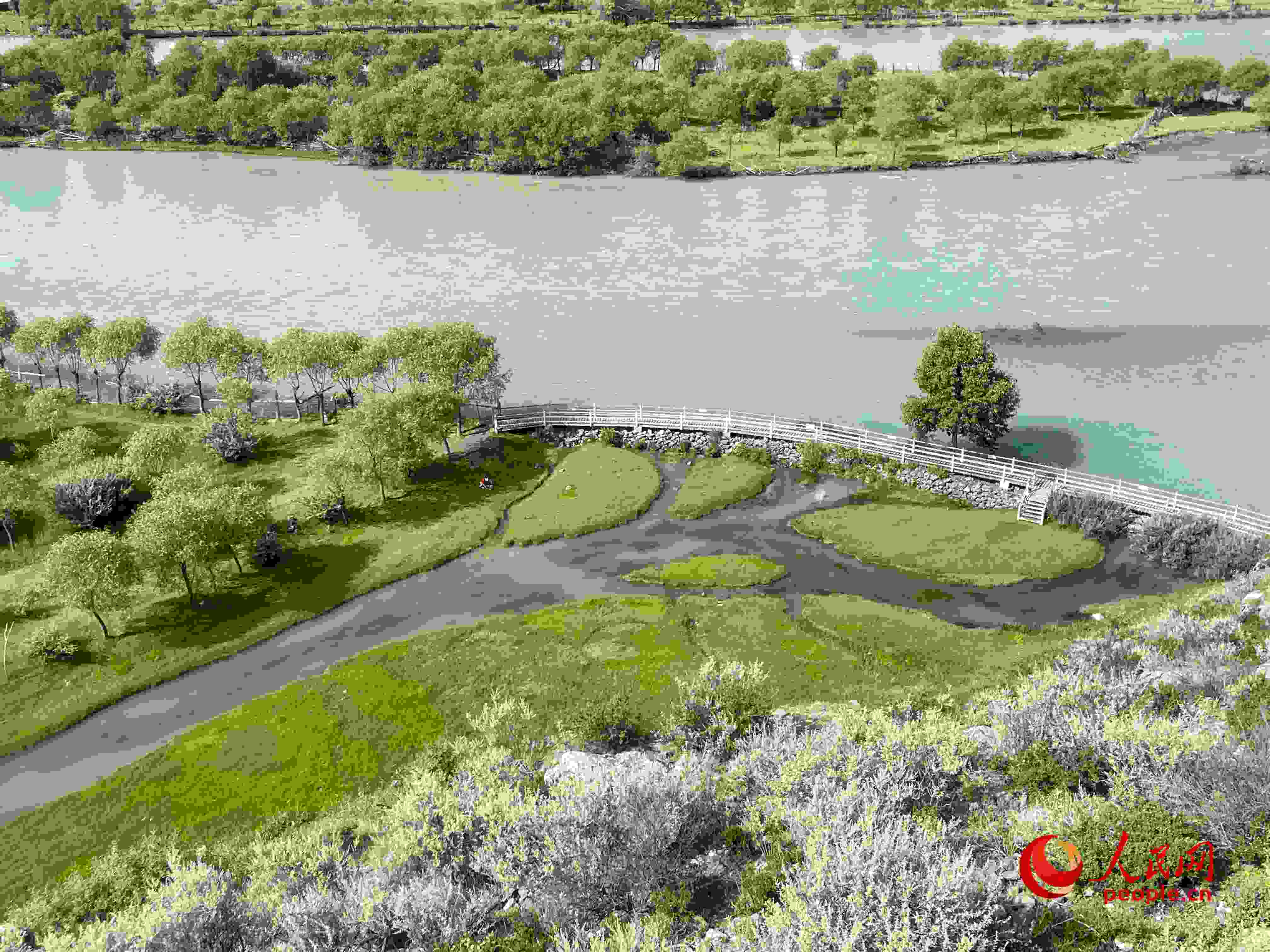 夏日的雅尼國家濕地公園生機盎然，如詩如畫。人民網 周靜圓攝