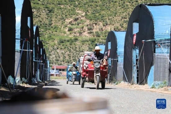 7月29日，農(nóng)戶在卓尼縣納浪鎮(zhèn)納浪村黑木耳種植基地勞作。