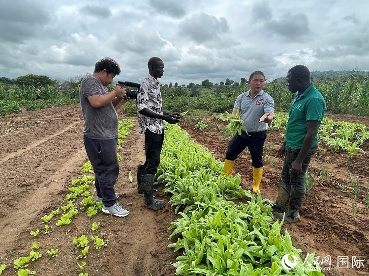 人民網(wǎng)記者走進尼日利亞農(nóng)業(yè)技術(shù)示范中心。人民網(wǎng)記者 趙艷紅攝