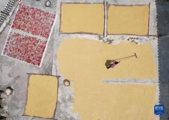 9月16日，村民在貴州省黔東南苗族侗族自治州施秉縣馬溪鄉(xiāng)王家坪村晾曬稻谷（無(wú)人機(jī)照片）。