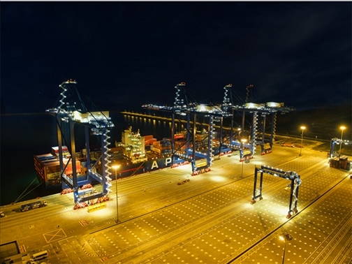 萊基港實(shí)行7×24小時(shí)裝卸作業(yè)機(jī)制。受訪者供圖