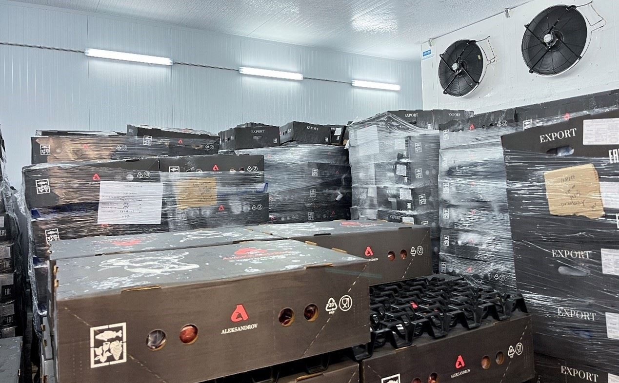 恒溫冷庫中，包裝好的牛肉等待發(fā)往中國。人民網(wǎng)記者 朱虹攝