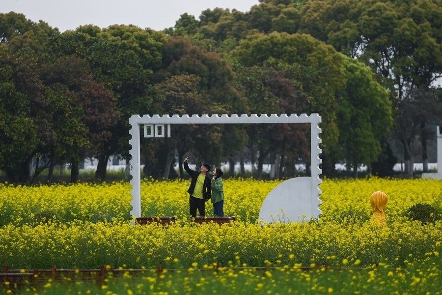  游客在浙江嘉興市秀洲區(qū)王店鎮(zhèn)鎮(zhèn)中村的“青青樂(lè)地”農(nóng)耕文化園內(nèi)游玩（2023年4月3日攝）。