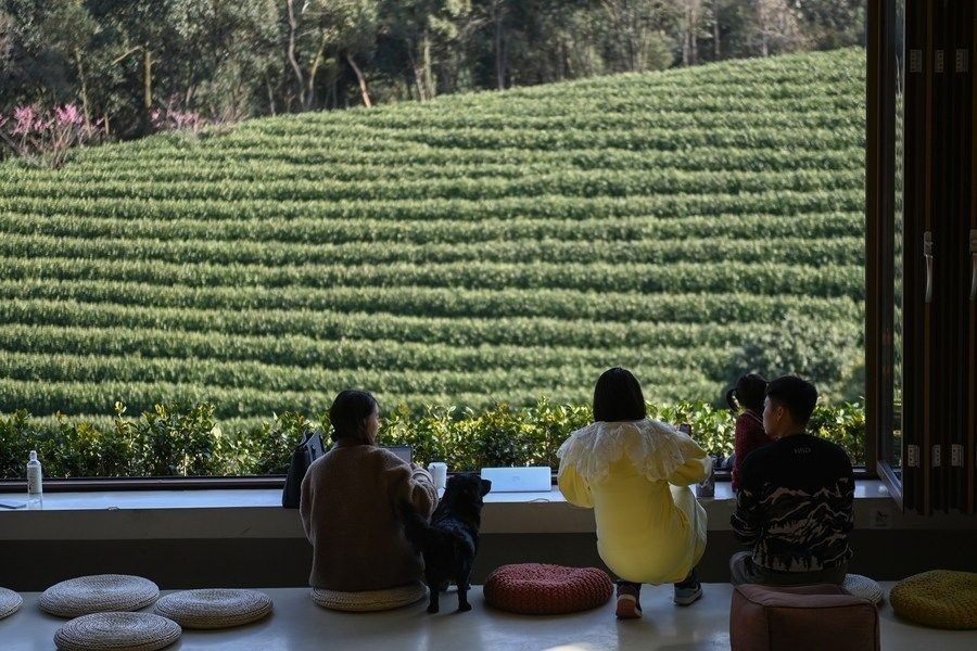 游客在浙江省安吉縣黃杜村萬(wàn)畝茶園邊的咖啡館休閑（2023年2月21日攝）。